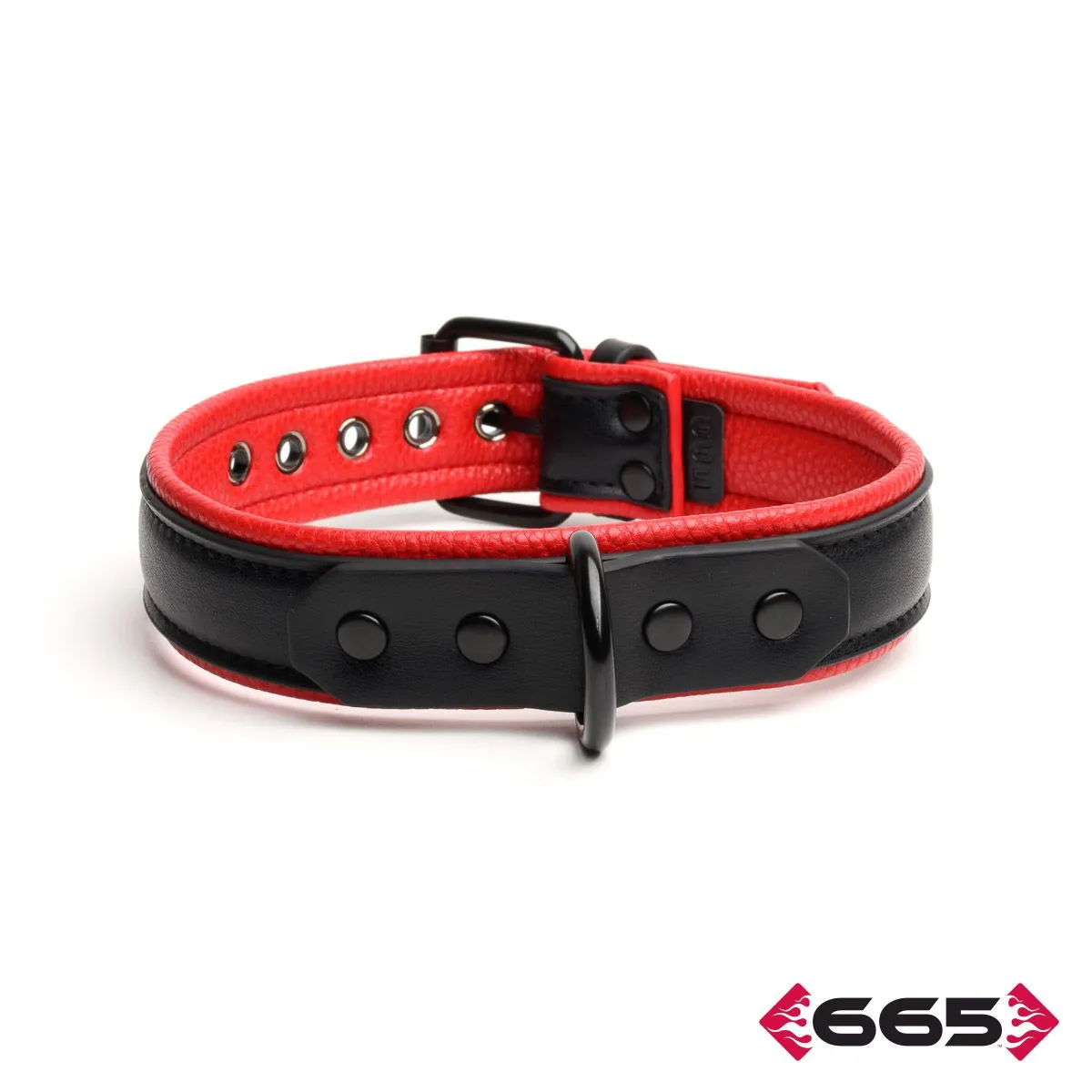 365 Leather Vegan Collar FE23394