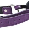 Punishment Ball Gag Suède Mauve - Image 2