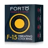 Forto F-15 - Image 2