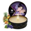 Shunga Secret de Geisha - Fruits Exotics