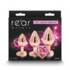 NS - Rear Assets Trainer Kit Coeur
