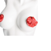 Pasties Paillettes et Boucles Satinés