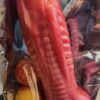 Celvin Ovipositor
