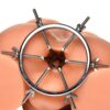 Oculus Stainless Steel Anal Explorer AH153