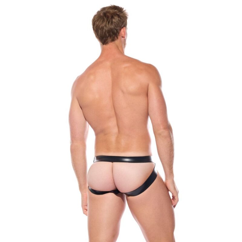 Gregg Python Jock 210734