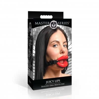 Juicy Lips Open Mouth Gag AH540