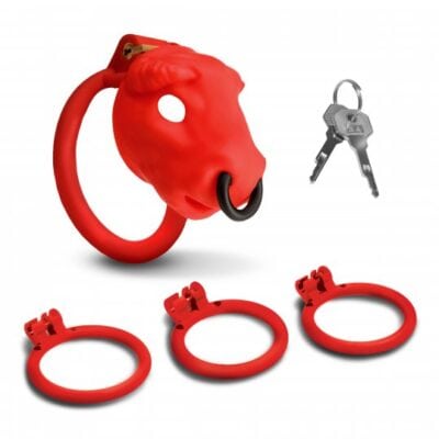Bull Chastity Cage AH664