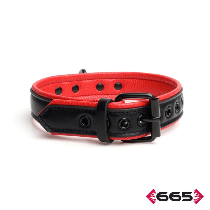 365 Leather Vegan Collar FE23394