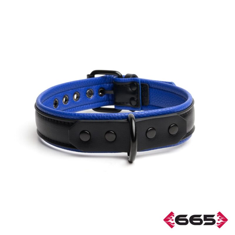 365 Leather Vegan Collar FE23394