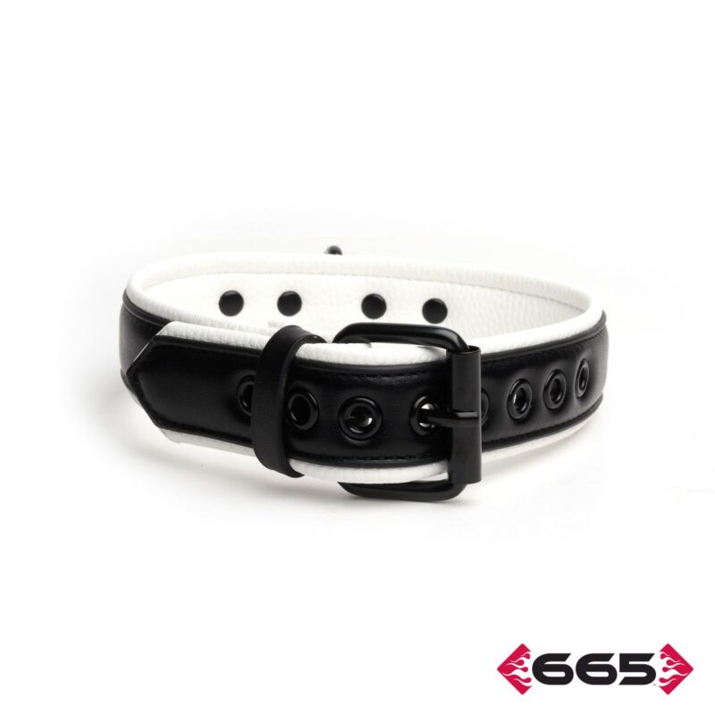 665 Leather Vegan Collar - Image 3