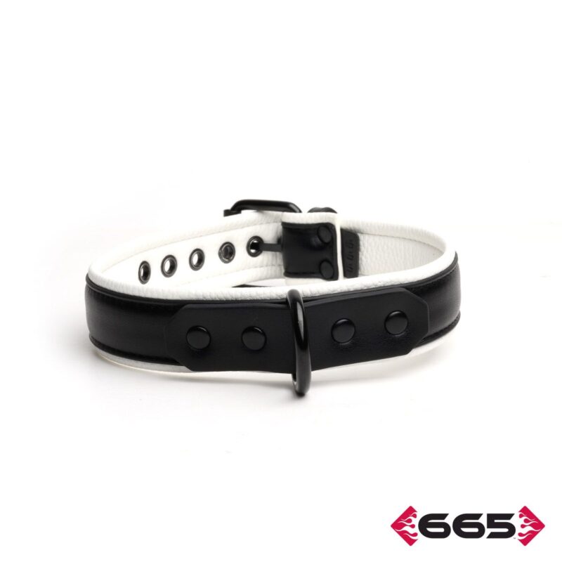 365 Leather Vegan Collar FE23394
