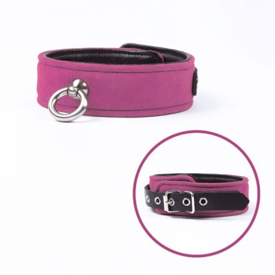 Collier Deluxe Ajustable en Suède avec Anneau en Métal – Confort Rembourré - Image 2